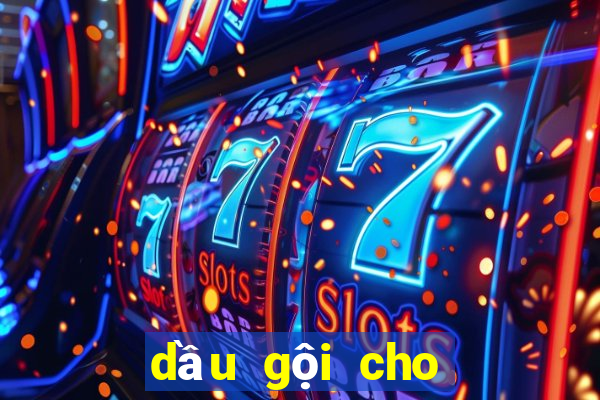 dầu gội cho đầu bết