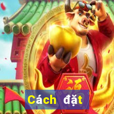 Cách đặt cược XSAG ngày 11