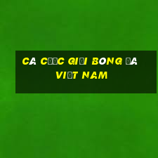 Cá cược giải bóng đá Việt Nam