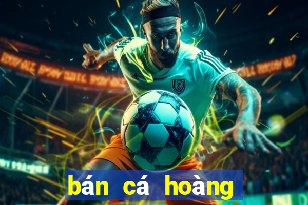 bán cá hoàng bảo yến tại hà nội