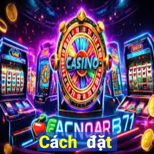 Cách đặt cược XSVT Chủ Nhật