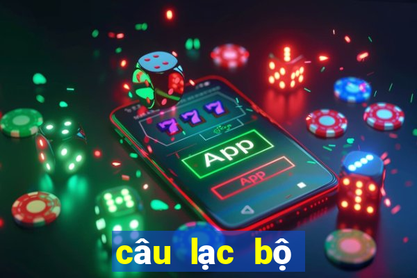 câu lạc bộ bóng đá hà nội