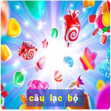 câu lạc bộ bóng đá hà nội