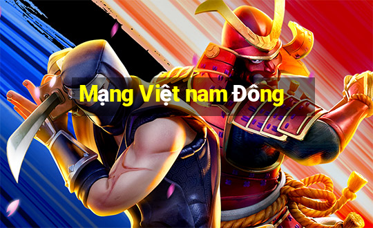 Mạng Việt nam Đông