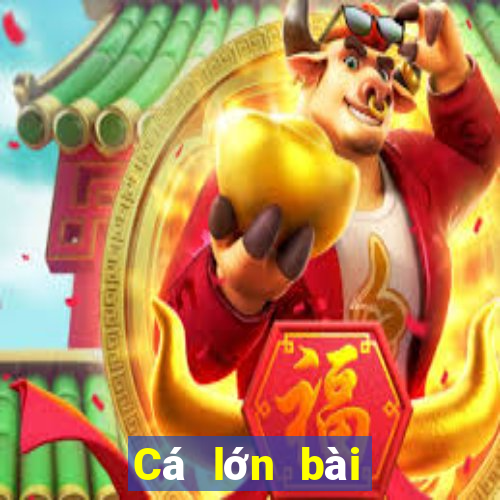 Cá lớn bài poker Android