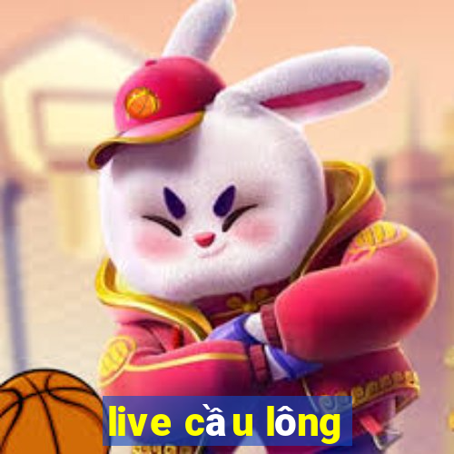 live cầu lông