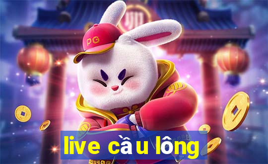 live cầu lông