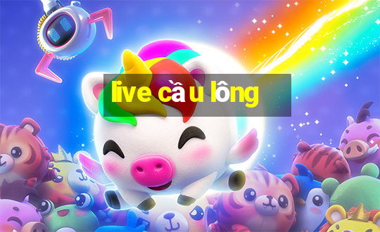 live cầu lông