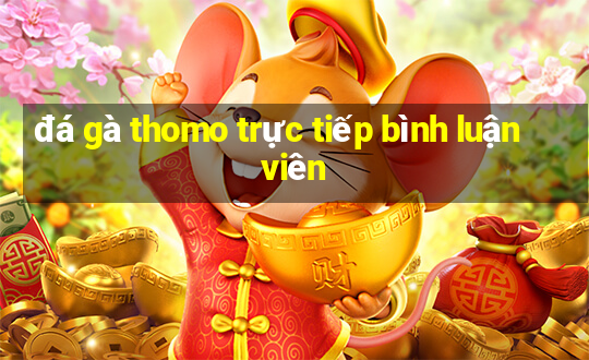 đá gà thomo trực tiếp bình luận viên