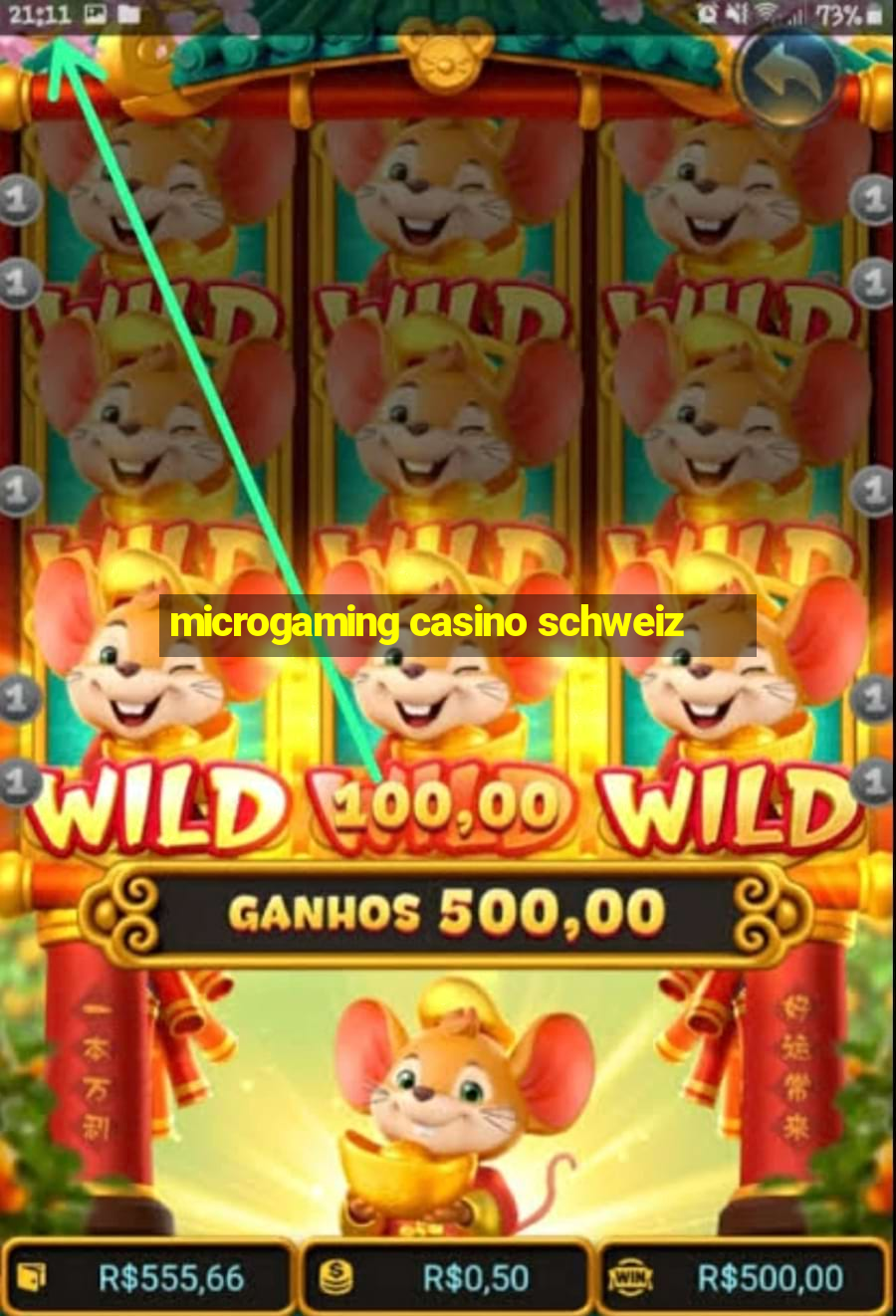 microgaming casino schweiz