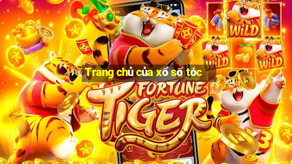 Trang chủ của xổ số tóc