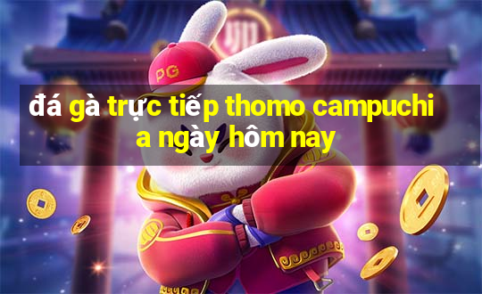 đá gà trực tiếp thomo campuchia ngày hôm nay