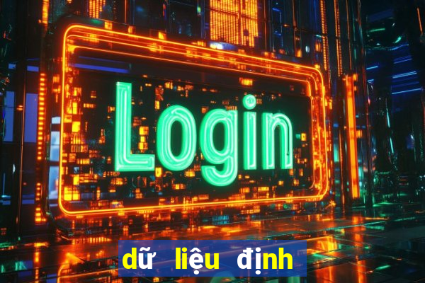 dữ liệu định lượng là gì