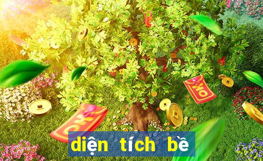 diện tích bề mặt riêng bet