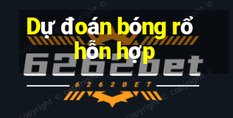 Dự đoán bóng rổ hỗn hợp