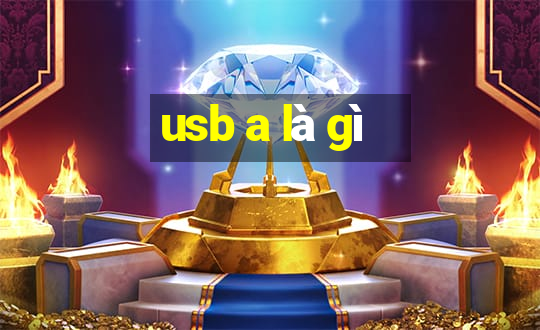 usb a là gì