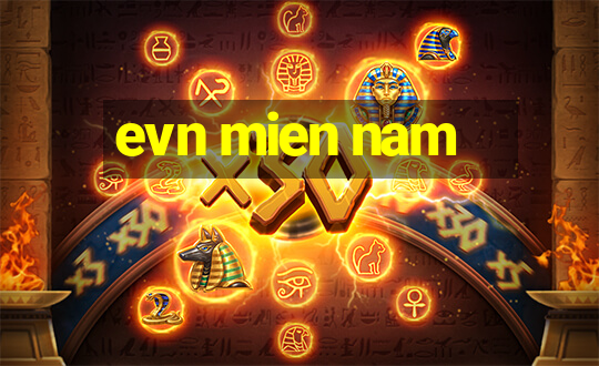 evn mien nam