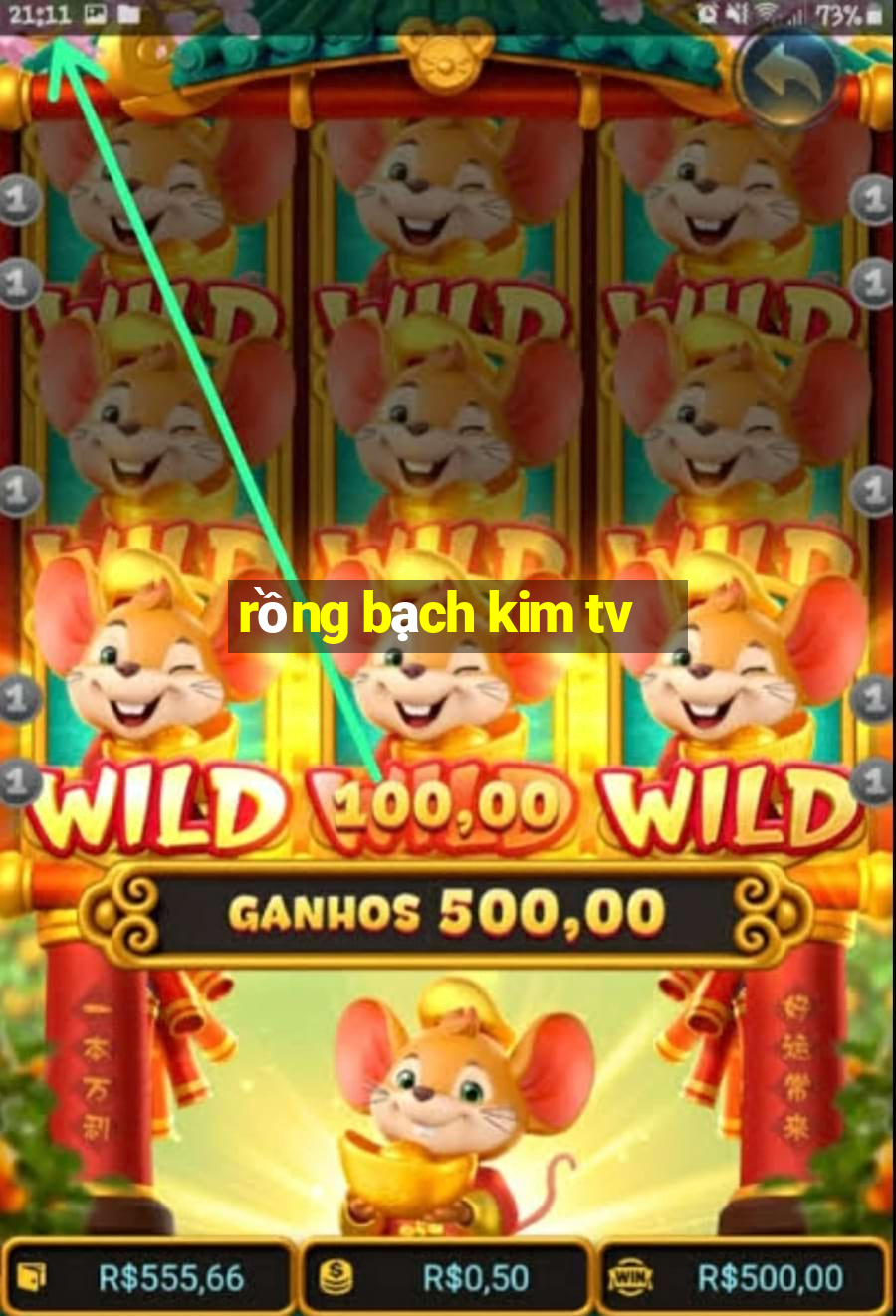 rồng bạch kim tv