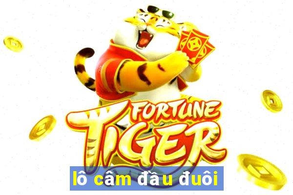 lô câm đầu đuôi