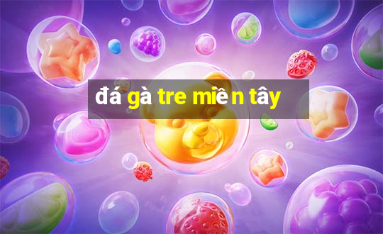 đá gà tre miền tây