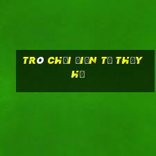 Trò chơi điện tử Thủy Hử