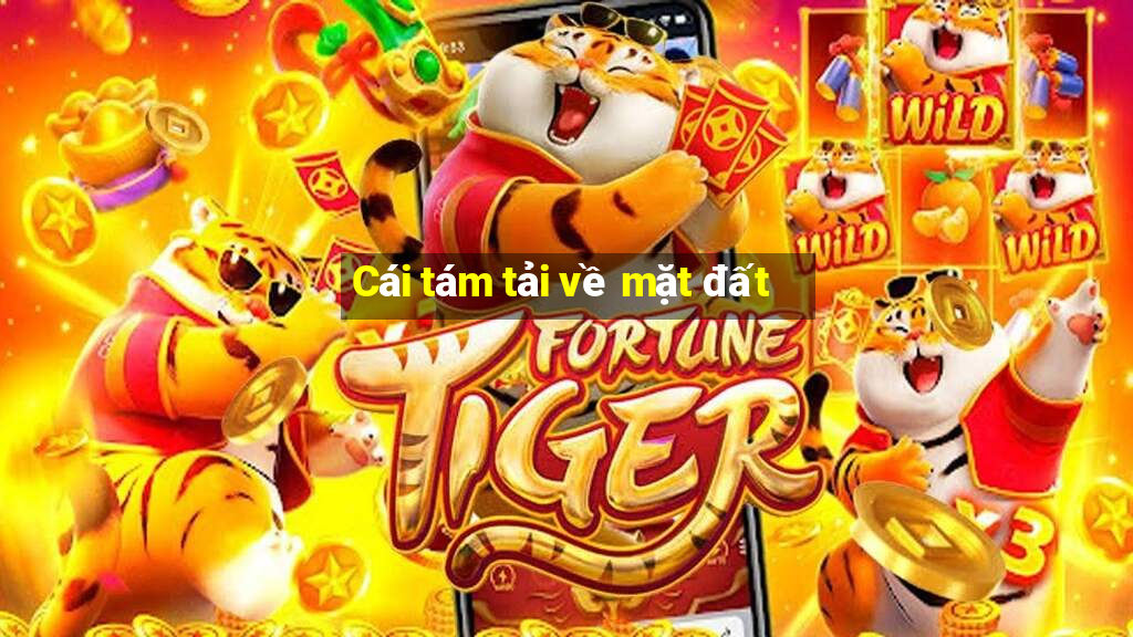 Cái tám tải về mặt đất