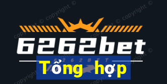 Tổng hợp người hâm mộ từ 3b