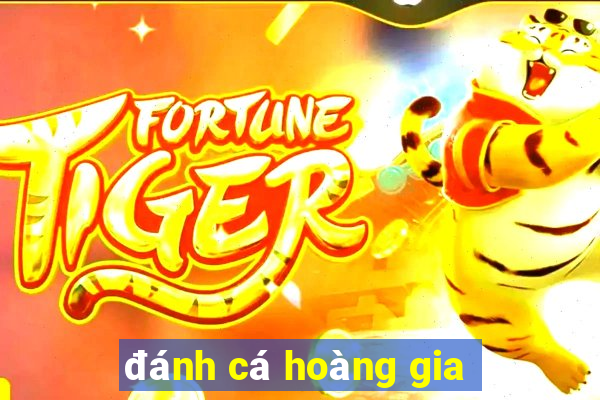 đánh cá hoàng gia