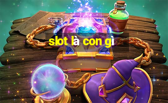 slot là con gì