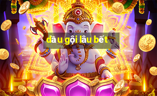 dầu gội lâu bết