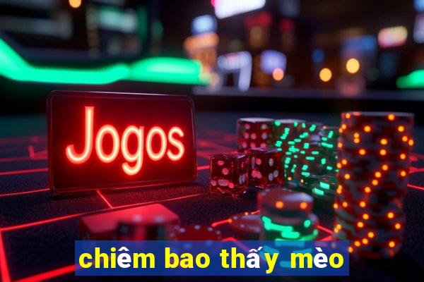 chiêm bao thấy mèo