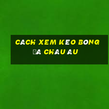 cách xem kèo bóng đá châu âu