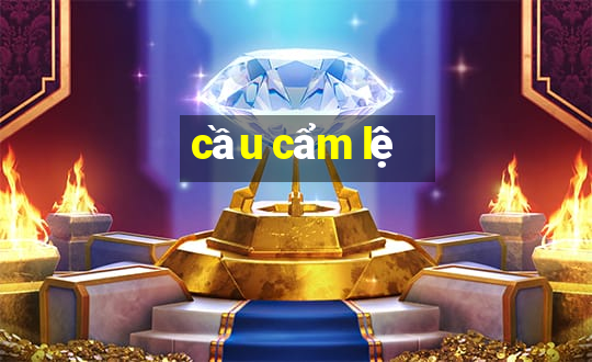 cầu cẩm lệ