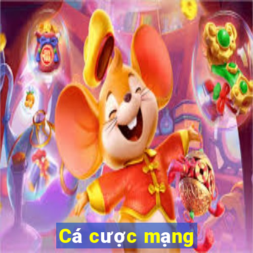 Cá cược mạng