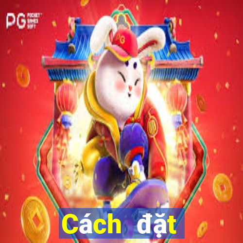 Cách đặt cược XSTB ngày 29