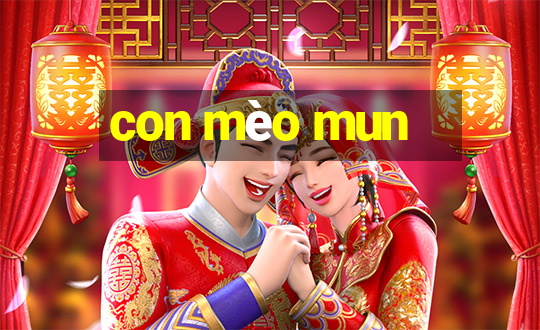 con mèo mun