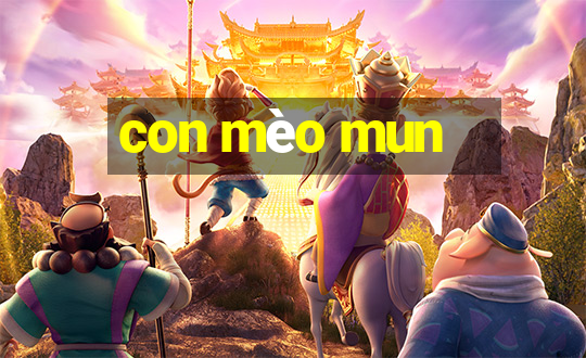 con mèo mun