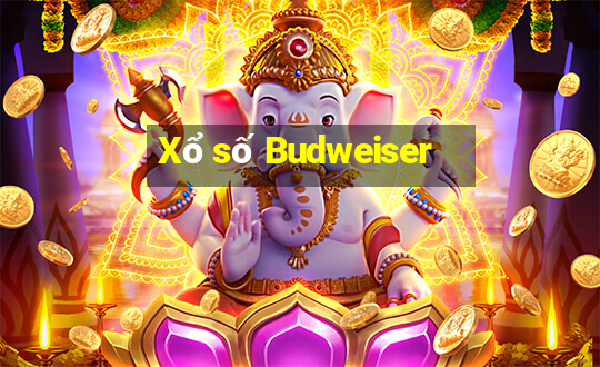 Xổ số Budweiser