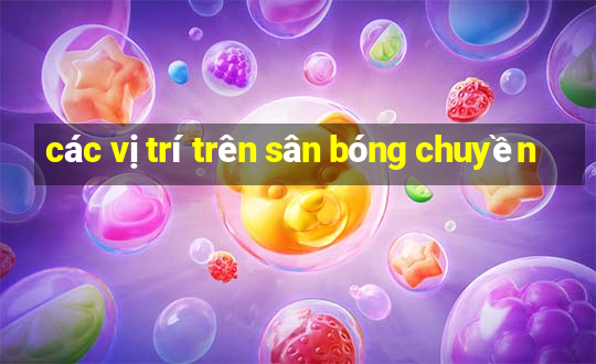 các vị trí trên sân bóng chuyền