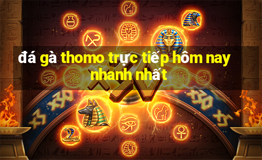 đá gà thomo trực tiếp hôm nay nhanh nhất