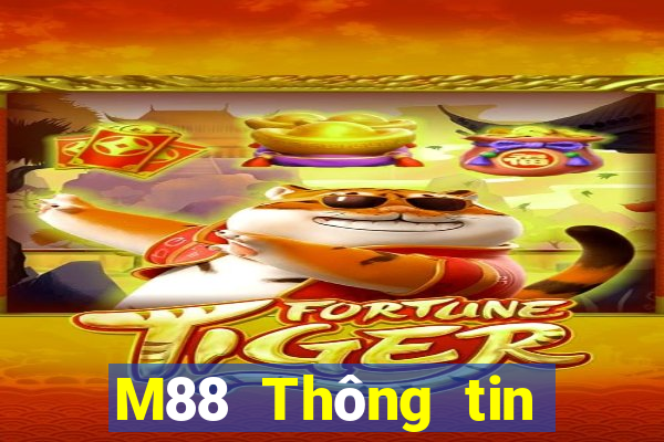 M88 Thông tin về Dory game bài