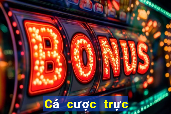 Cá cược trực tuyến vic club