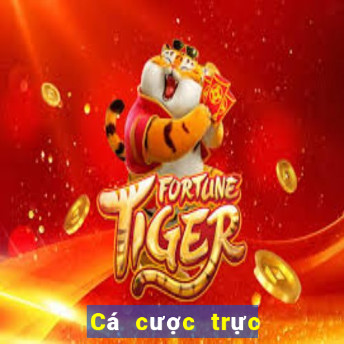 Cá cược trực tuyến vic club