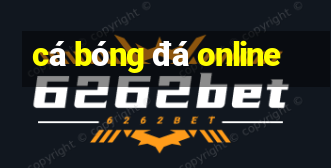 cá bóng đá online