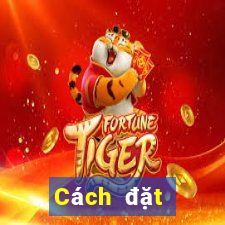 Cách đặt cược XSTN ngày 24