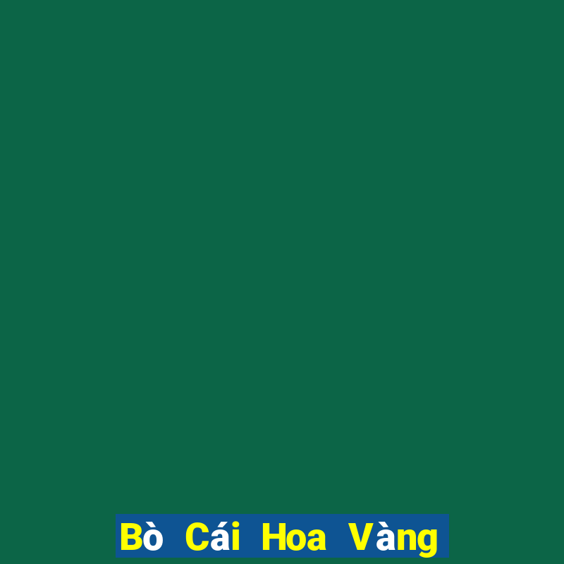 Bò Cái Hoa Vàng Đấu Địa Chủ