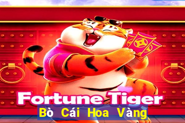 Bò Cái Hoa Vàng Đấu Địa Chủ