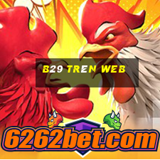 b29 trên web