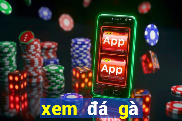 xem đá gà trực tiếp hôm nay