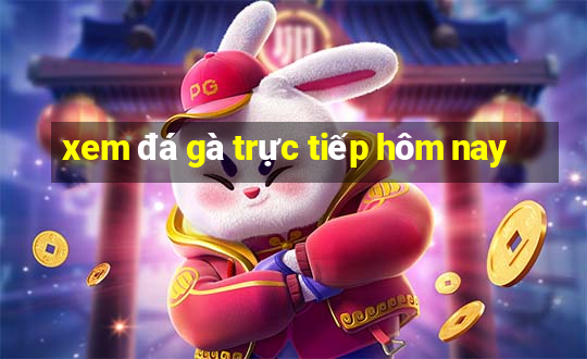 xem đá gà trực tiếp hôm nay